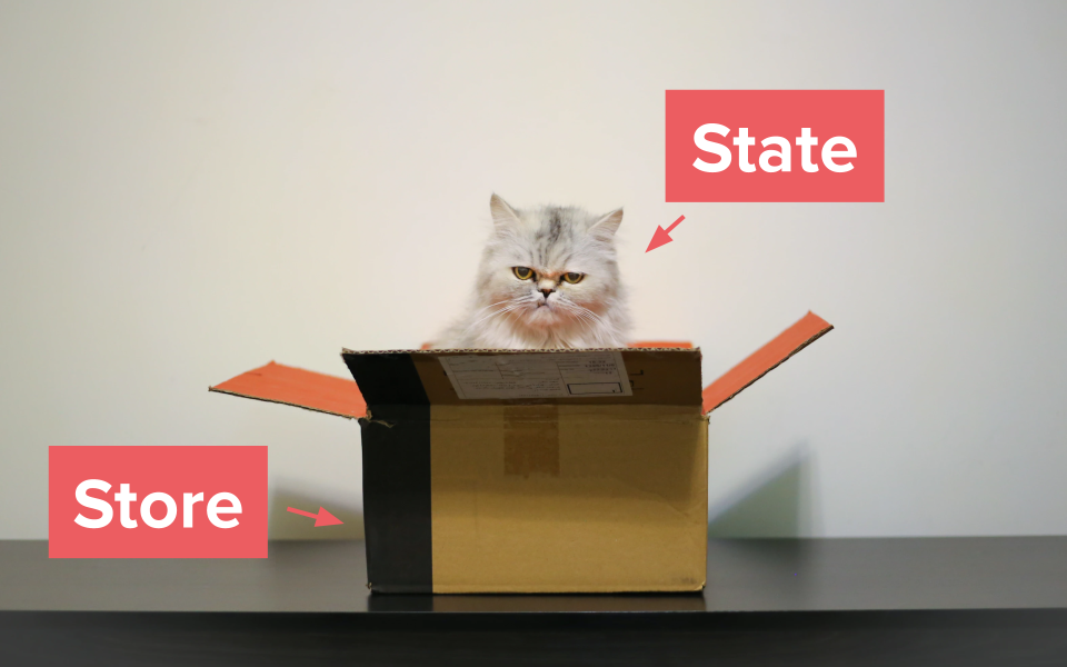 State / Store illustration with a cat in a box